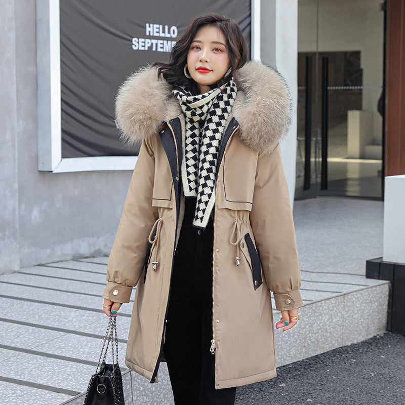 Women's New Style Pie Jacket Padded Jacket - Jacket Women - anassiri.com anassiri.com